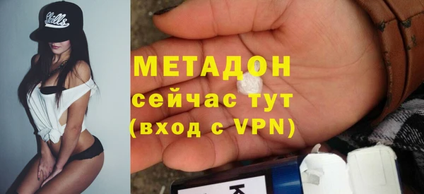 стаф Алзамай