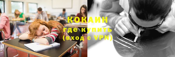 стаф Алзамай