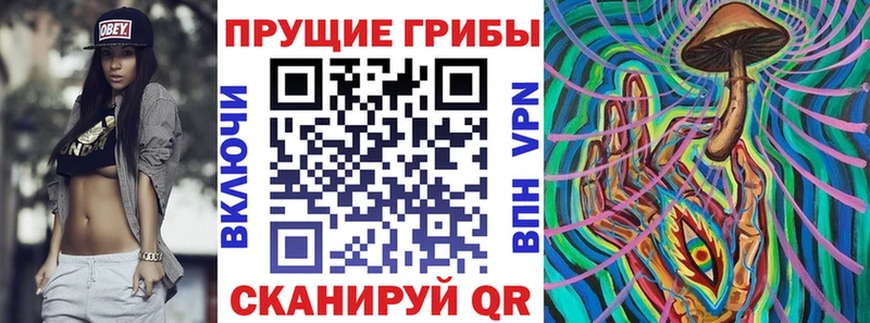 Псилоцибиновые грибы GOLDEN TEACHER  ОМГ ОМГ сайт  Череповец  наркошоп 